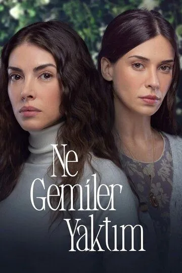 Какие корабли я сжёг (2023-2024)