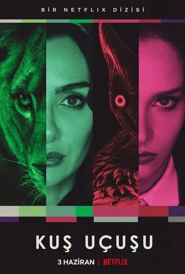 Полёт птицы (2022-2024)