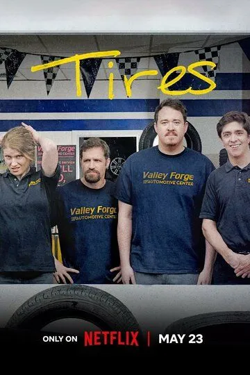 Шины (2024-2025)