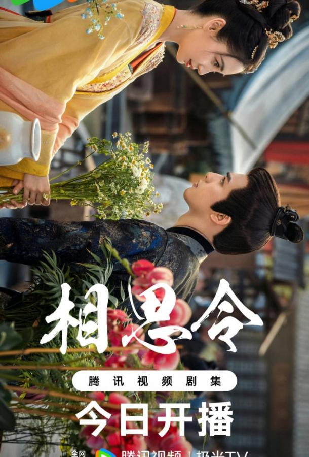 Похищенная невеста (2025)