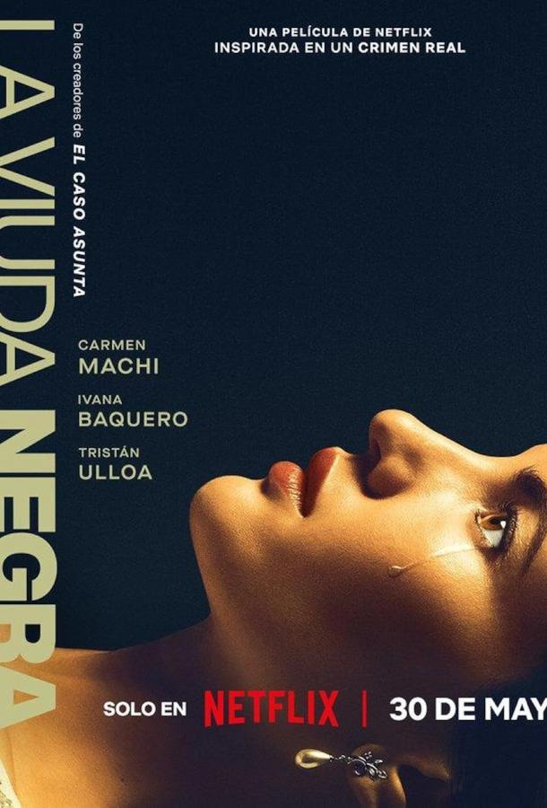 Игра вдовы (2025)