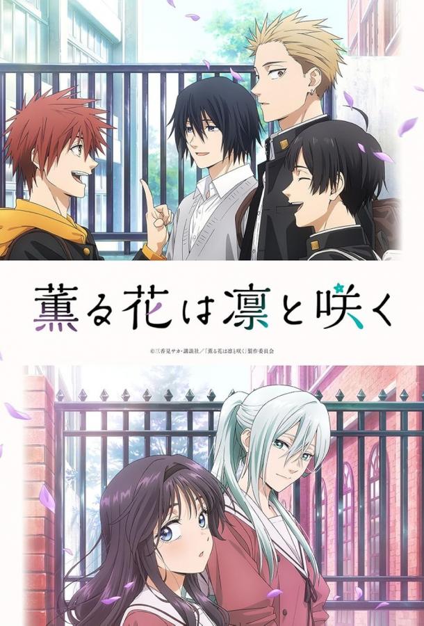 Благоухающий цветок расцветает с достоинством (2025)