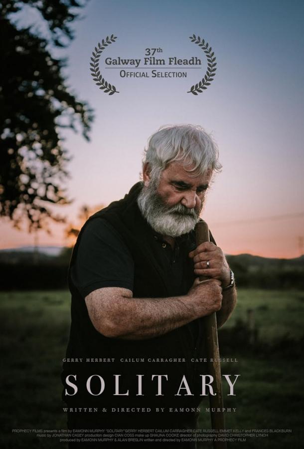 Отшельник (2025)